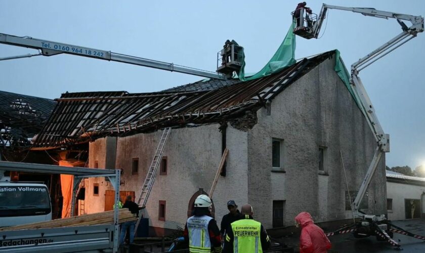 Beschädigte Häuser, zwei Verletzte: "Alles hat sich gedreht" – Tornado zieht Schneise der Verwüstung durch Eifel-Dorf