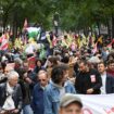 Miles de manifestantes protestan en Francia contra la violencia policial