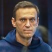 Russland: Alexej Nawalny schon wieder in Isolationszelle gesperrt