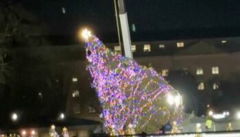 USA: Wind wirft Nationalen Weihnachtsbaum in Washington um
