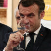 Alcool : la France de Macron rechigne toujours à soutenir le Défi de janvier