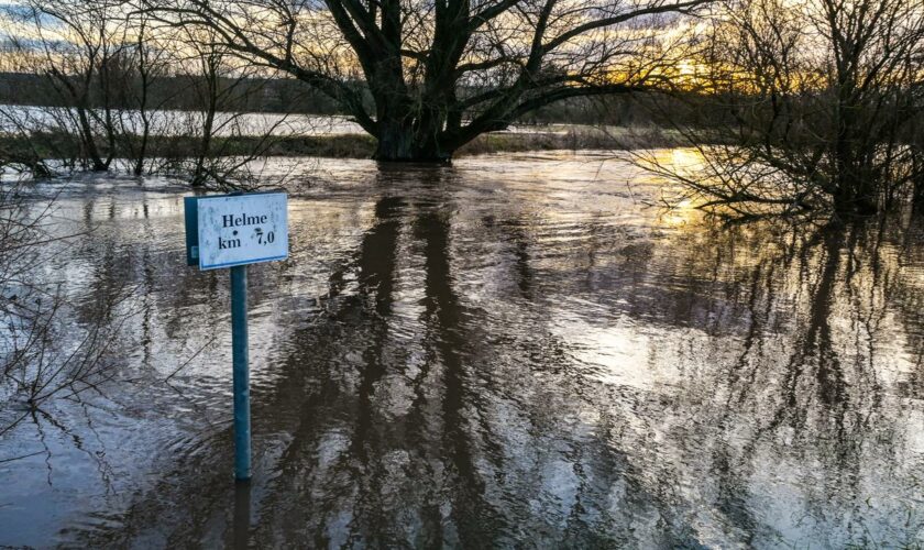 Hochwasser in Deutschland: Landkreis in Sachsen-Anhalt ruft Katastrophenfall aus