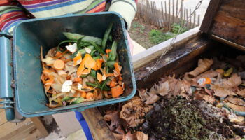 Compost obligatoire : pourquoi la France ne sera pas prête au 1er janvier