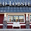 Red Lobster called its endless shrimp deal ‘irresistible.’ Then it lost $11M.