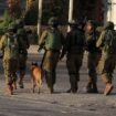 Israeli forces reveal footage of K9 unit clearing houses in Gaza, uncovering Hamas weapons