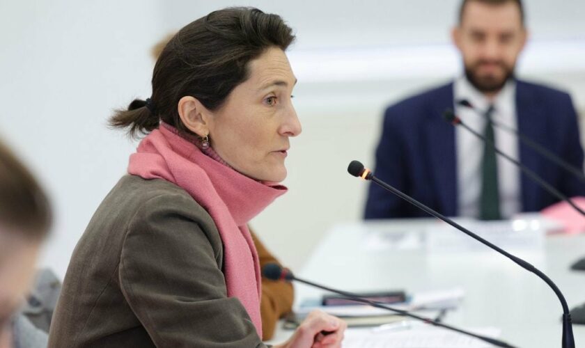 La ministre Amélie Oudéa-Castéra ds'exprimant à l'INSEP, l'Institut national du Sport à Paris, le 23 novembre 2023