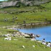 ¿Hay que vallar los lagos de Covadonga? Los informes alertan de "saturación"