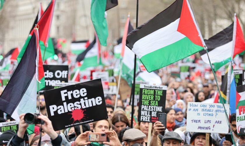 People during a pro-Palestine march in central London, organised by the Palestine Solidarity Campaign, to call for a ceasefire in the conflict between Israel and Hamas. Picture date: Saturday February 3, 2024.