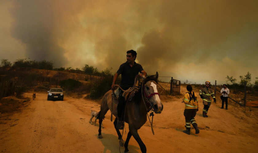 En images : le Chili dévasté par des incendies de forêt meurtriers