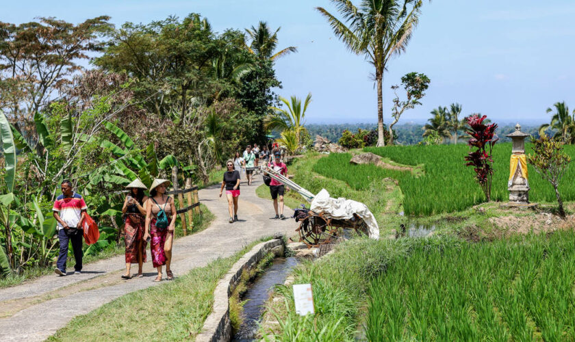 Bali : une taxe imposée aux visiteurs étrangers pour préserver l’environnement