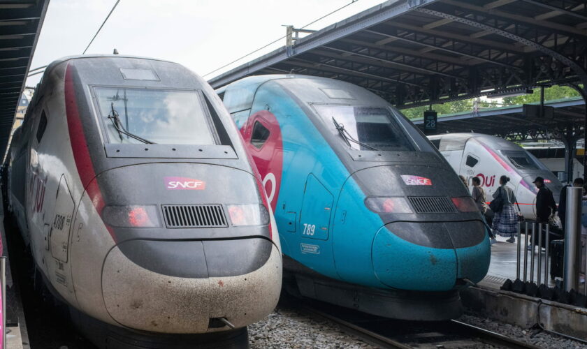 Grève à la SNCF : remboursement, billets à moitié prix... Comment elle essaie d'apaiser la colère des voyageurs