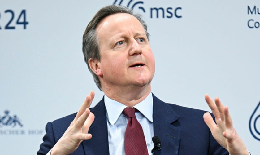 'We didn't get anatomical': Lord Cameron reacts after US congresswoman's 'kiss my a**' jibe