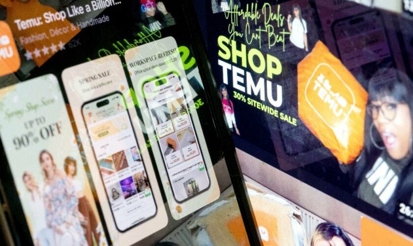 L'application Temu, lancée par le groupe chinois Pinduoduo aux Etats-Unis, est venue se classer parmi les plus téléchargées en début d'année