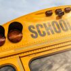 5-year-old New York child hit, killed by school bus