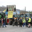 Agriculteurs en colère : la FNSEA "veut aller plus loin", des manifestations jusqu'au Salon de l'agriculture ?