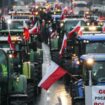 Les agriculteurs polonais ont lancé un nouveau mouvement de protestation en bloquant une centaine de routes et les points de passage frontaliers.