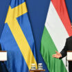 Adhésion de la Suède à l’Otan : après le vote de la Hongrie, les ultimes étapes qui restent à franchir