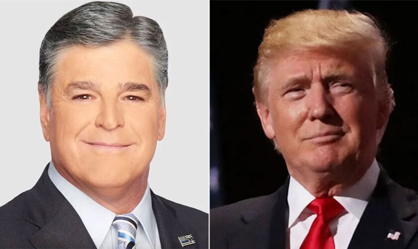 Fox News' Sean Hannity to join Trump at US southern border