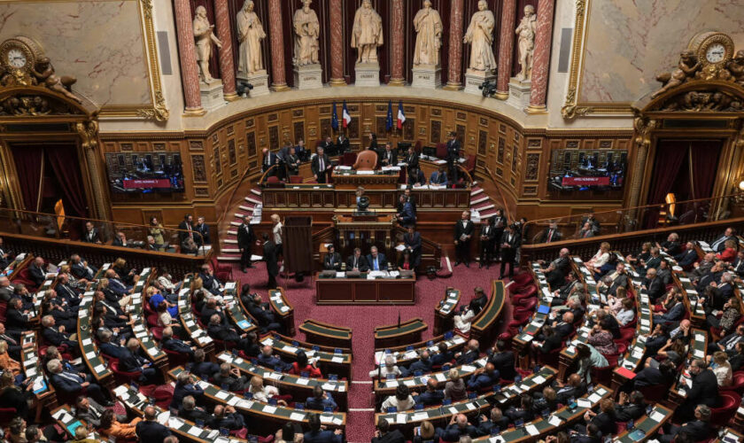 Tribune | IVG dans la Constitution : le Sénat doit prendre ses responsabilités