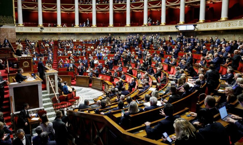 Frankreich: Senat stimmt für Aufnahme von Schwangerschaftsabbrüchen in Verfassung