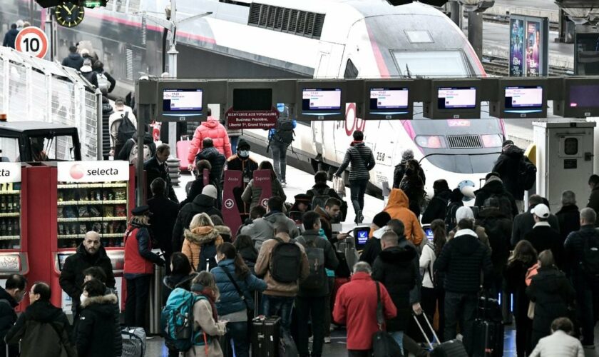 Des voyageurs passent les portiques de contrôle pour prendre leur train lors d'une grève des contrôleurs de la SNCF, le 2 décembre 2022 à la Gare de Lyon, à Paris