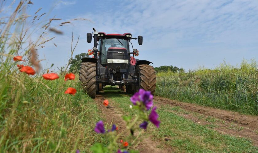 Landwirtschaft: Bundesregierung setzt gelockerte EU-Umweltauflagen um