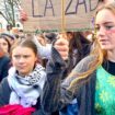 A Bordeaux, 3.000 personnes et Greta Thunberg défilent contre un projet de nouveaux puits de pétrole à Arcachon