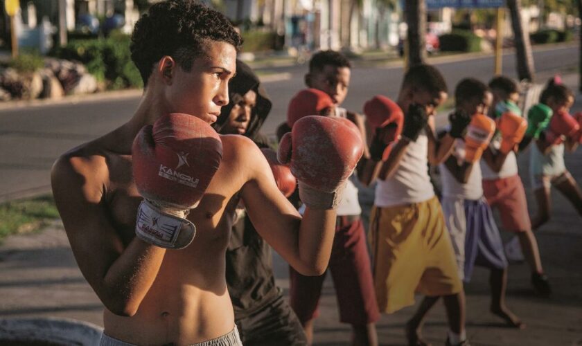 Boxe: la fabrique des champions à Cuba, qui rêve d'or aux JO de Paris
