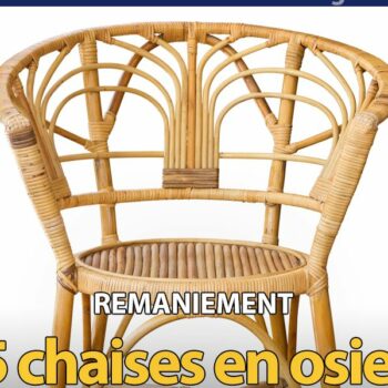 Gorafi Magazine : Remaniement – 5 chaises en osier qui auraient pu entrer au gouvernement