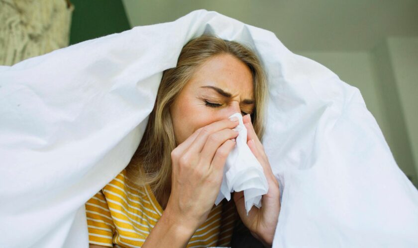 Grippezeit: Selbsttests, Zink und Co. – so entkommen Sie der Krankheitswelle