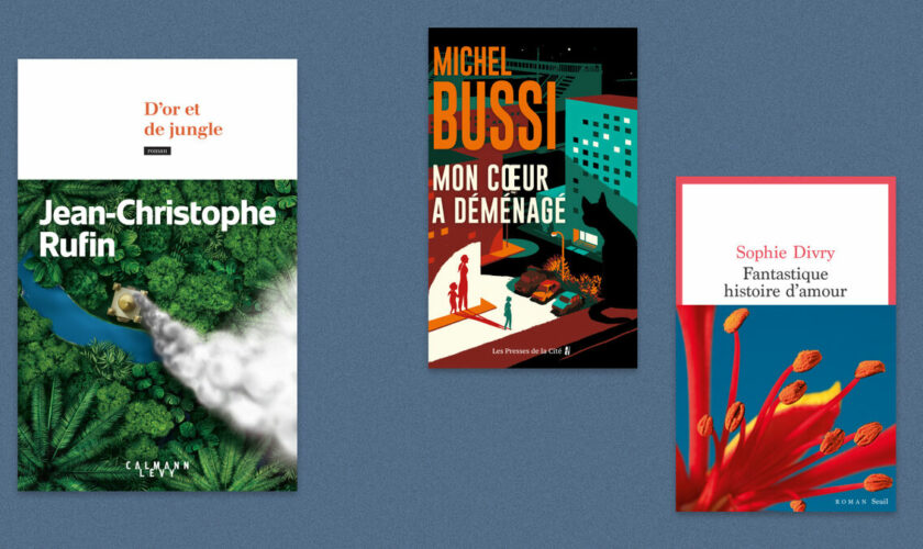 Jean-Christophe Rufin, Michel Bussi, Sophie Divry… Notre sélection livres de la semaine