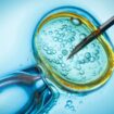 L'Alabama assimile les embryons congelés à des «enfants»