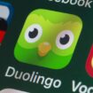 La chouette de Duolingo condamnée à 2 ans de prison ferme pour harcèlement