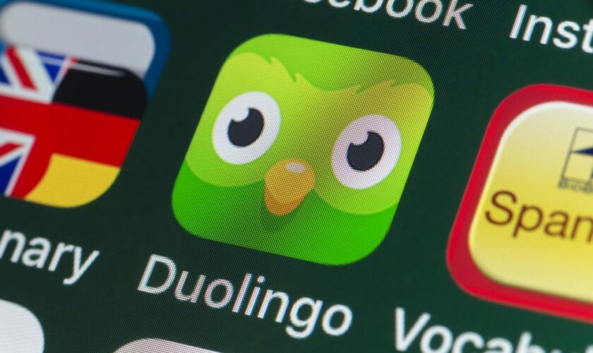 La chouette de Duolingo condamnée à 2 ans de prison ferme pour harcèlement