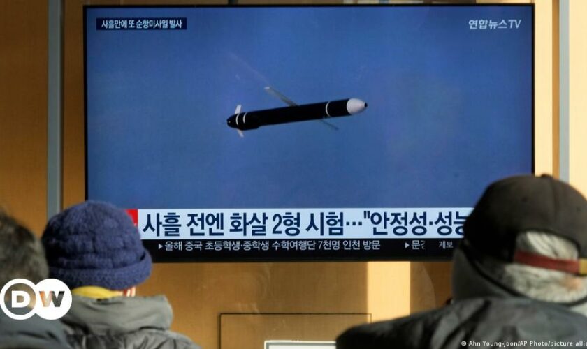 North Korea fires multiple cruise missiles: Seoul
