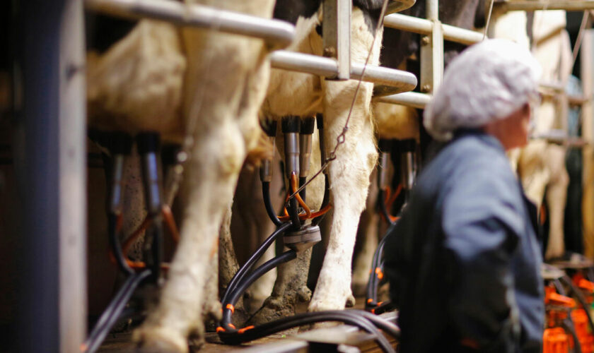 Salon de l’agriculture : l’intelligence artificielle permet de prévoir… la production de lait