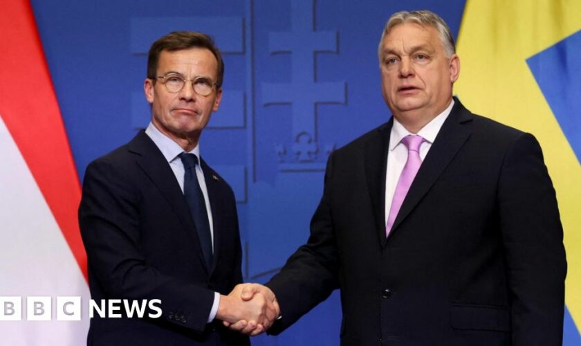 Swedish Prime Minister Ulf Kristersson and Hungarian Prime Minister Viktor Orban shake hands at a joint press conference in Budapest, Hungary, February 23, 2024