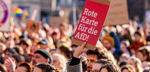 Verfassungsschutz plant offenbar Einstufung der gesamten AfD als »gesichert extremistische Bestrebung«