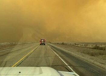 Waldbrände wüten in Texas: »Es sieht aus wie der Weltuntergang«