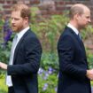 'William and Harry's tragic feud won't be repaired even after Charles’ diagnosis'