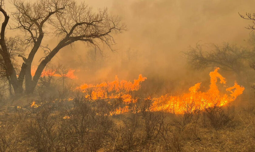 Aux États-Unis, le Texas affronte le plus grand incendie de son histoire