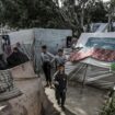 Gazastreifen: "Die Lage ist katastrophal"
