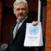 UN expert on freedom of expression urges end to Julian Assange’s prosecution over press freedom concerns