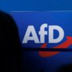 AfD will Verfassungsschutz in Sachsen-Anhalt reformieren