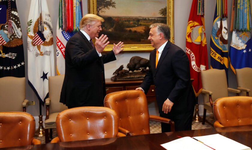 Treffen in Florida geplant: Orbán will zu Trump reisen