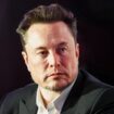 Grünheide: Tesla-Chef Musk nennt mutmaßlichen Anschlag auf Fabrik "extrem dumm"