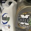 Chemiekonzern: US-Gericht weist Klage gegen Bayer wegen Unkrautvernichter Roundup ab
