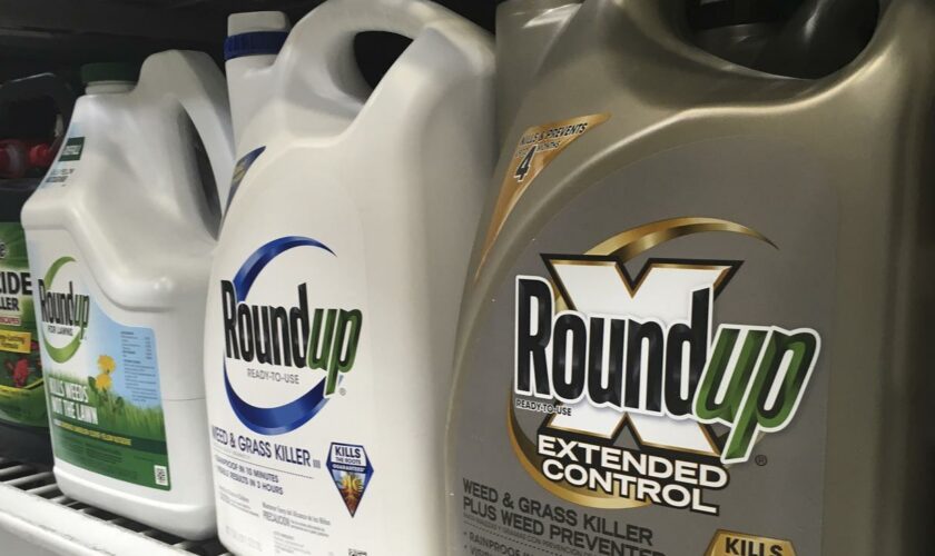 Chemiekonzern: US-Gericht weist Klage gegen Bayer wegen Unkrautvernichter Roundup ab