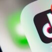 TikTok and Facebook application on screen Apple iPhone XR stock photo