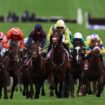 Cheltenham Festival tips: Experts on best bets and 10 horses to watch today